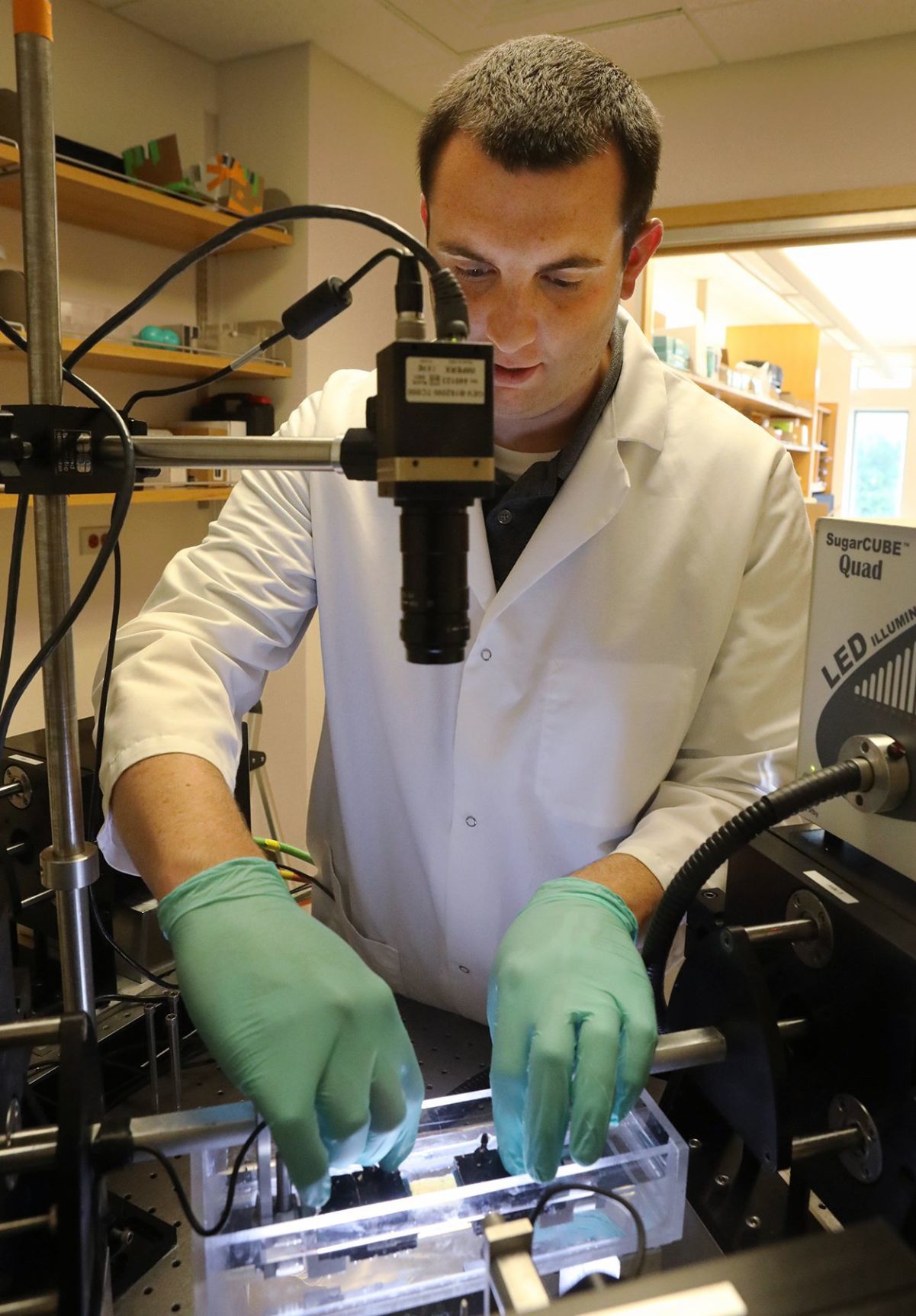 Wash U researchers are studying tendon damage